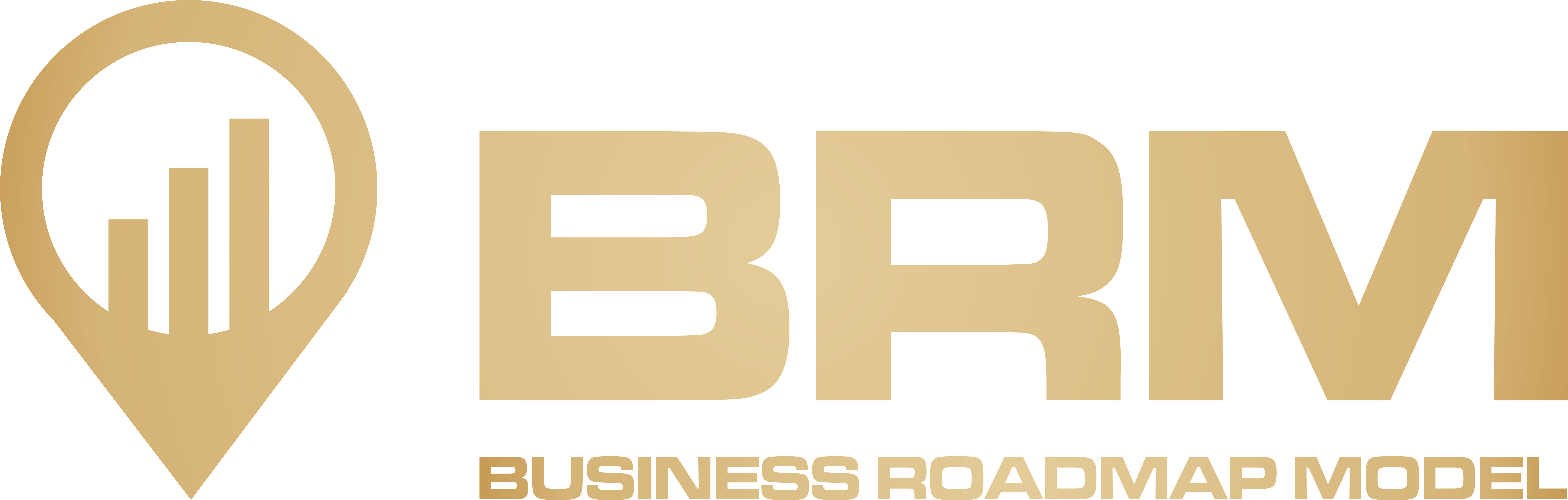 Businessroadmap